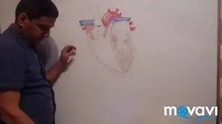 как же он сердце нарисовал drawing heart