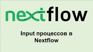 NF8. Раздел input в процессе Nextflow