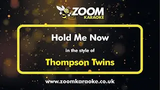 Thompson Twins - Hold Me Now - Karaoke Version from Zoom Karaoke