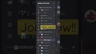 Join the discord server now!!