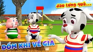 Chuyện Của Đốm 2024: ĐỐM KHI VỀ GIÀ 👴 | Hoạt Hình 3D | Hoạt Hình Chó Đốm 2024 | THVL Hoạt Hình