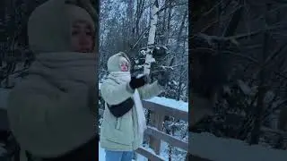 ШОК! Дикие звуки в Карелии #shorts #tiktok