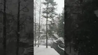 How Summers in Finlans suprise you. 🤣🤣 | Summers in Finland