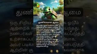 துணிச்சலான சிறிய ஆமை 🐢