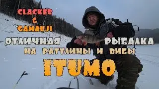 ✅ Всегда бы так клевало) 👍👍👍 Зимняя рыбалка 2019