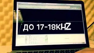 Kick | Основы Эквализации | Express EQ