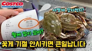 코스트코 9월에만 맛볼 수 있는 꽃게🦀자주 사는 재구매템🛒 양념 소불고기는 한우인가 호주산인가 확인해보세요🥩