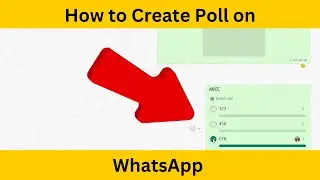 How to Create a Poll on WhatsApp in 2023 - Feature group chat