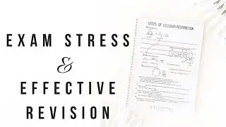 How I study for exams - Part 2 | Dealing with exam stress & Revising effectively | studytee