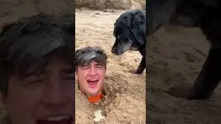 OS GÊMEOS ME TROLARAM 