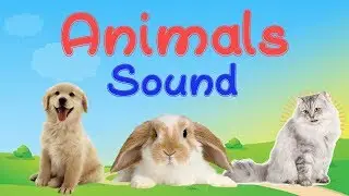 Learn 10 Animals sound Dog Cat Pig Chicken Cow Goat Duck