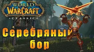 Прибытие в Серебряный бор - World of Warcraft Classic #13