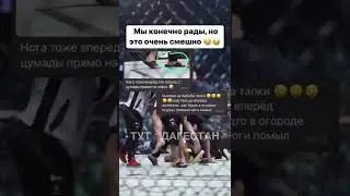 Хабиб Нурмагомедов и его тапки 😄