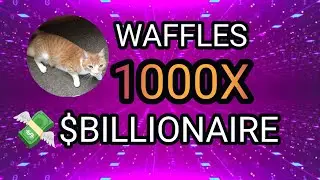 💥$WAFFLES COIN💥 NEW BEST SOLANA MEME COIN 2024 || MAJOR LISTINGS || NEXT BILLIONAIRE 💸💸💸