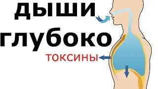 Как избавиться быстро от кашля. Самые лучшие народные средства от кашля | Я знаю