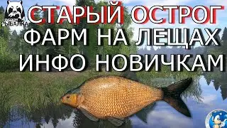 🌟СТАРЫЙ ОСТРОГ🌟ГДЕ ЛЕЩ? ГАЙД НОВИЧКАМ🌟Русская Рыбалка 4(РР4)🌟