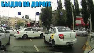 Хозяева жизни. Этим водителям нельзя было выдавать права. Мне плевать на всех.
