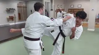 Progressive Drilling at Zen Martial Arts Sacramento - Isshinryu