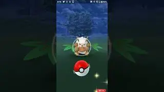 Pokémon GO  Shiftry  ダーテング狡猾天狗