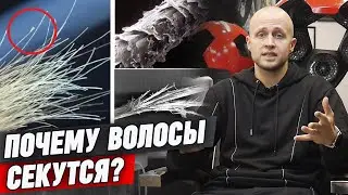 Секущиеся кончики волос | Как избавиться от посеченных кончиков раз и навсегда?