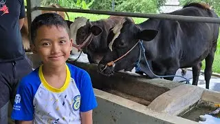 Fais sama risa bikin permen gula