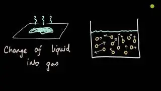 Evaporation and its cooling effect| Matter in our surroundings | Chemistry | Khan Academy