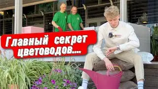 Озеленение веранды ресторана в Уфе. Часть 1