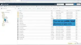 How to create a new file or folder in cPanel File Manager with CloudSpace