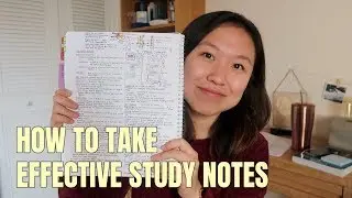 How I Take Effective Study Notes: High School to University