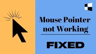 Mouse Pointer Not Working in Windows 10/11 (2024) Easy FIX