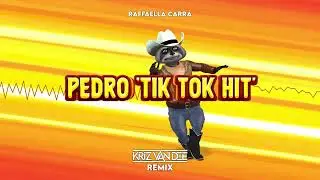 Raffaella Carrà - PEDRO 'tik tok hit' (KriZ Van Dee Remix)