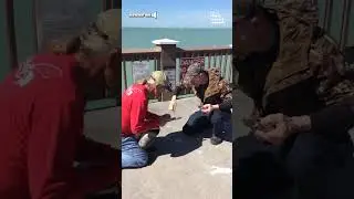 Hero Fisherman Rescues Pelican Caught In Wire