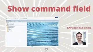 Show command field in SAP GUI | SAP ERP and SAP S/4HANA