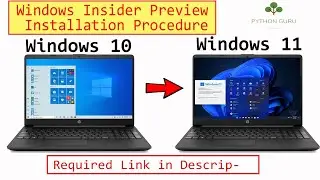 How to Update to Windows 11 build - Python Guru | Tech Expert