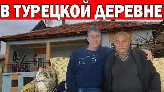 ТУРЕЦКАЯ ДЕРЕВНЯ. МУЖ НАВЕЩАЕТ РОДСТВЕННИКОВ/ Жизнь в деревне/ Дом в деревне/ Турция/ Жизнь в Турции