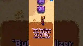 What's ACTUALLY the Best Fall Crop in Stardew Valley?