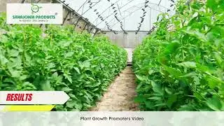 Sahajchem Products- Plant Growth Promoter results