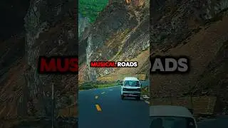 facts || musical roads that you never imagine exists #facts #viral #shorts