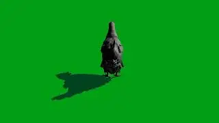 Hen running green screen video | Copyright Free