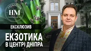 Екзотика в центрі Дніпра: де і чому вирощують банани, інжир та монстеру