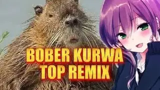 BOBER KURWA МЕШАПЫ ИЗ TIK TOK