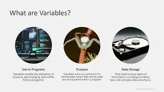 Python variables for beginners