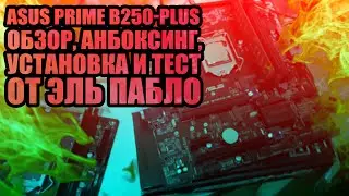 ASUS PRIME B250-PLUS элитарный обзор от Эль Пабло