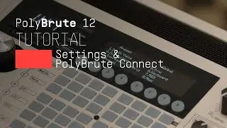 Tutorials | PolyBrute 12 - Settings & PolyBrute Connect