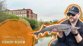 Method Feeder and Cage Feeder Fishing at Coppull Mill Fishery | Fishery Reviews