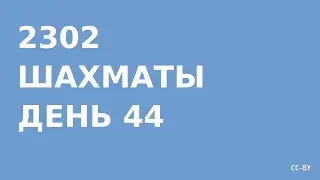 2302 - Шахматы - день 44