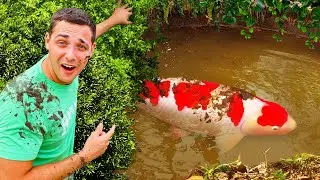 I Found a Hidden Mud Pond with $1,000,000 Fish