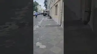 Тополиный пух,жара,июнь В 