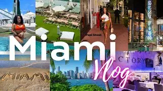 MIAMI VLOG | WHAT TO DO IN MIAMI | BEST RESTAURANTS AND PLACES TO GO (SOUTH BEACH BRICKELL WYNWOOD)