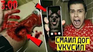 *СМАЙЛ ДОГ УКУСИЛ МЕНЯ* НИКОГДА НЕ ПРИЗЫВАЙ СМАЙЛ ДОГА в 3:00 (чуть не умер)